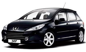 Замена тормозных суппортов Peugeot 307