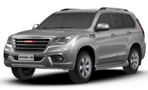 Замена пыльника ШРУС Haval H9